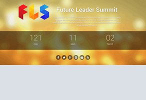 Portfolio: Future Leader Summit